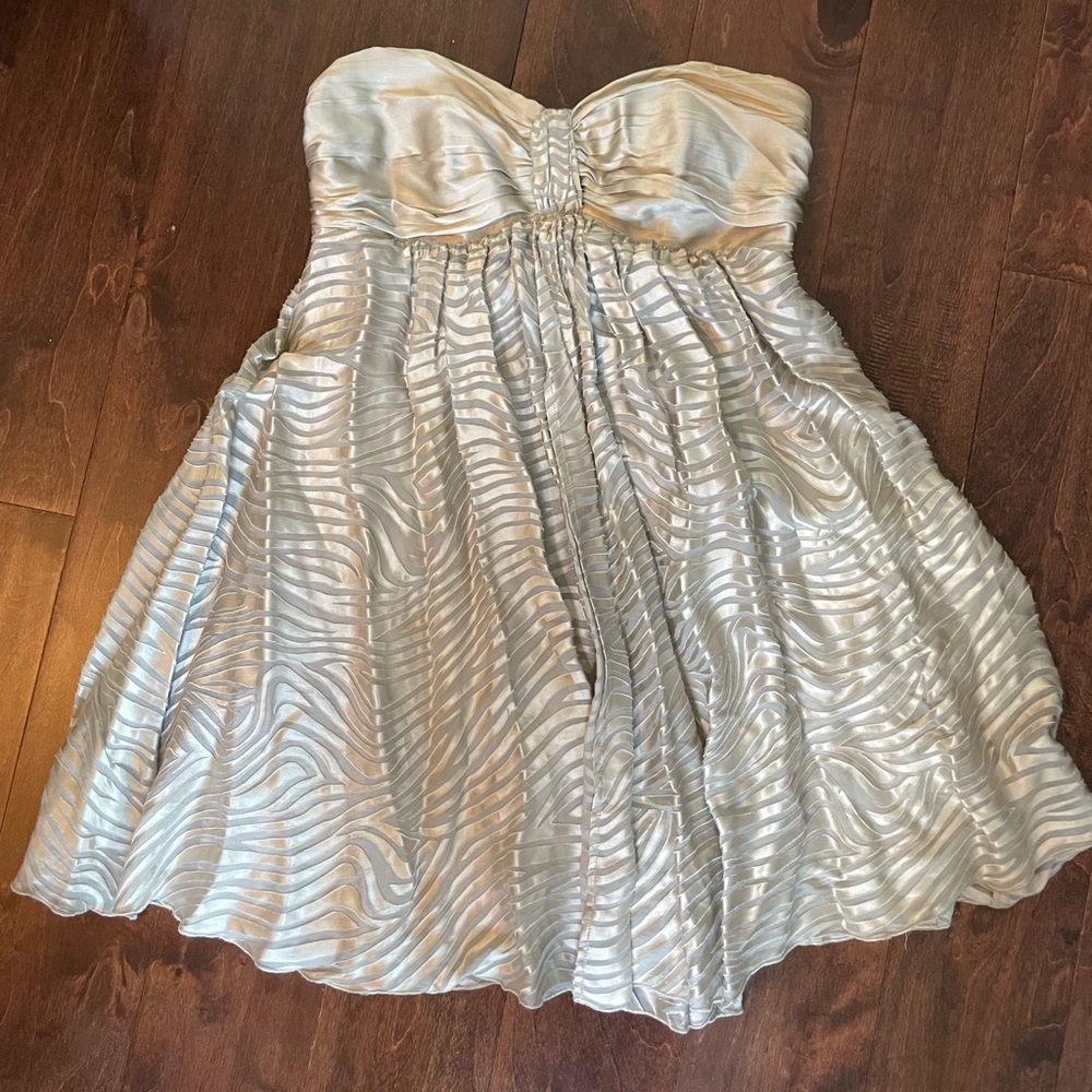Express Sleeveless Silver Dress - Size 6